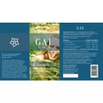 GAL K2+D3 vitamin cseppek (új n: GAL K-komplex+D3) 20ml