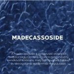 Cicaplast B5+ ultra balzsam LRP 40ml