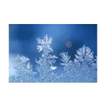 Biomed Cool Vadgesztenye krém 60g