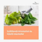 Priessnitz Vein Medical visszérkrém 125ml