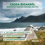 Möllers Omega 3 gumivitamin kólaízű halacska 36x
