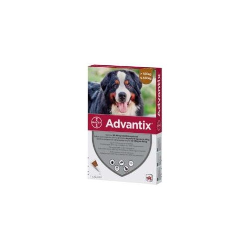 Advantix spot-on cseppek kutyának 40-60kg a.u.v. 1x