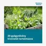 Herbal Swiss Hot Drink 24x