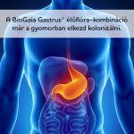 Biogaia Gastrus Total rágótabletta Mandarin 30x