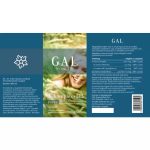 GAL K2+D3 vitamin Forte(új:GAL K komplex+D3 Forte) 20ml