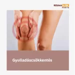 Reumablok Forte krém 125ml