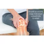 Glukozamin Pharma Nord 400 mg kemény kapszula 90x