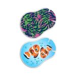 Ortopad Junior szemtakaró girls 1x