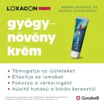 Loxacon Active gyógynövény krém bemelegítő/lazító 100ml