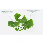 Bio-Biloba tabletta 60x