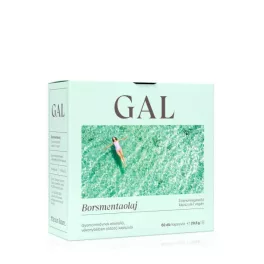 GAL Borsmentaolaj gyomornedv-ellenálló kapszula 60x