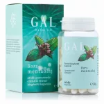 GAL Borsmentaolaj gyomornedv-ellenálló kapszula 60x