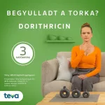 Dorithricin szopogató tabletta Erdei gyümölcs 20x