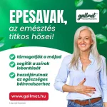 Gallmet-N kapszula 60x