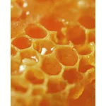 NUXE Reve de Miel ajakápoló 10ml