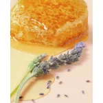 NUXE Reve de Miel ajakápoló 10ml