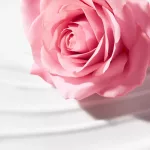 NUXE Very Rose krémes arctisztító tej 200ml